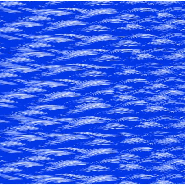 SHORELINE MULTI LINE 1/4 x 40 HB POLYPRO BLUE